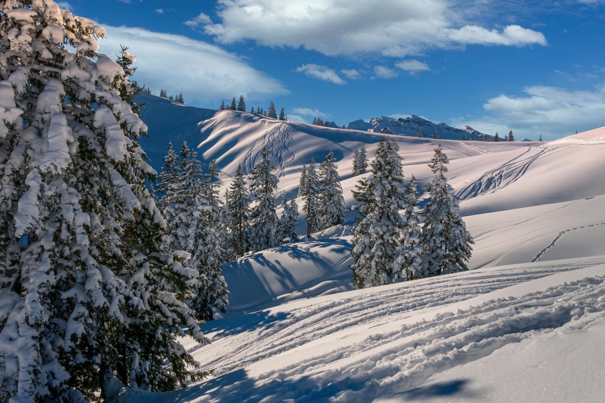 Appartement A La Montagne Champéry Exteriér fotografie